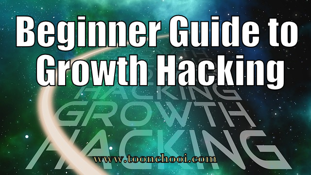 Beginner Guide to Growth Hacking